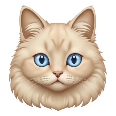sad beige cat with blue eyes  sticker