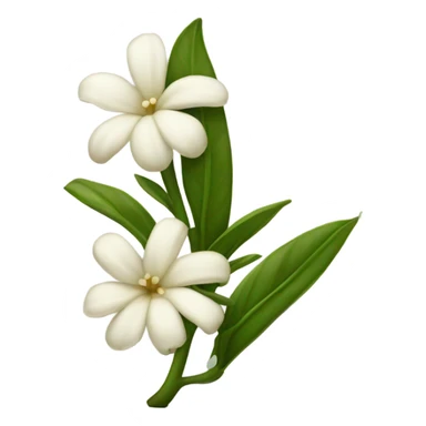 vanilla bean with white flower sticker