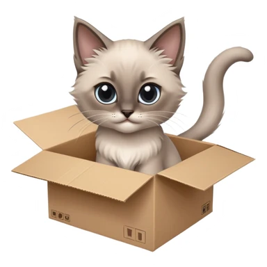  A very cute gery young kitten long hair Siamese Cat cat with one's head tilted to one side poked its paws out of the cardboard big box and placed them on top of it sticker