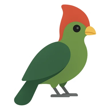 red-crested turaco, flat toon illustration sticker