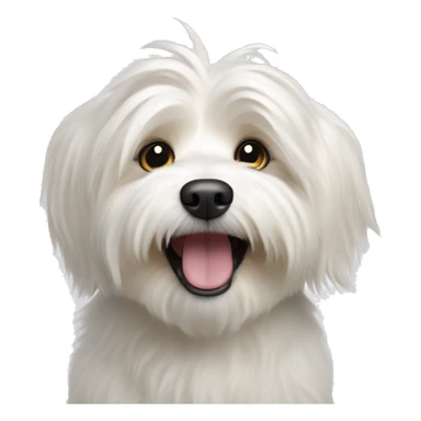 A white Havanese dog cheering you on sticker