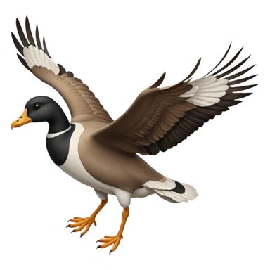 wild goose in flight, with black neck, black feet, brown wings, black-and-white head, white belly sticker
