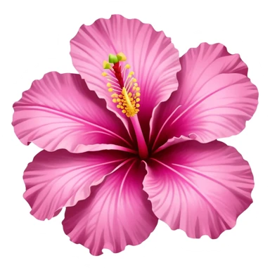 Pink hibiscus flower sticker