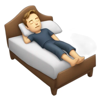 Elon musk sleeping sticker
