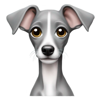Cute Italian greyhound puppy all solid grey  sticker