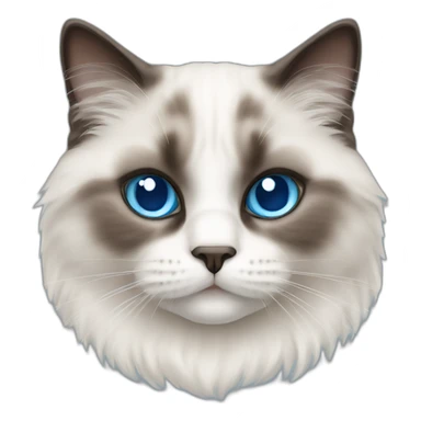 ragdoll cat blue eyes sticker