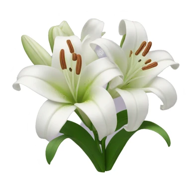 Lily flowers  sticker