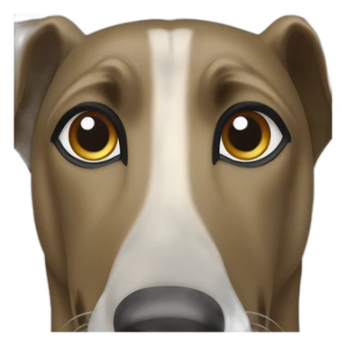 tan greyhound with all tan nose faint black brindle striping that looks like eyebrows sticker