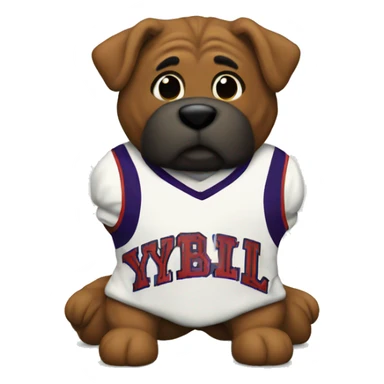 Jersey that says y v l sticker