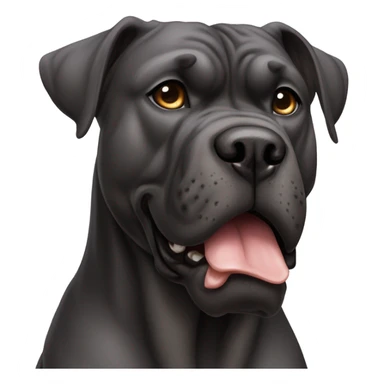 Cane corso sticker
