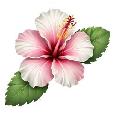 Ibisco bianco sticker