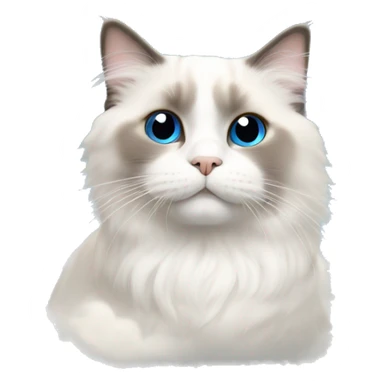 Ragdoll cat in heaven  sticker