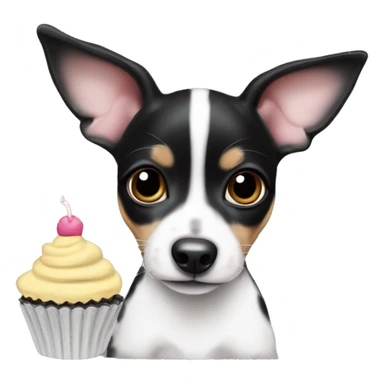 Cute big eyed Black and white rat terrier puppy (no brown or tan) eating a cupcake sticker