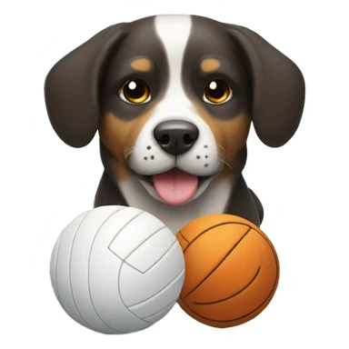 dog with a volleyball sticker