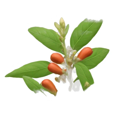 ashwagandha sticker