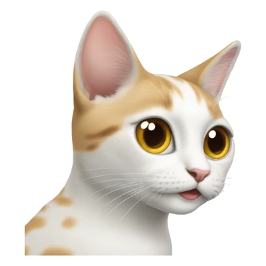 Witte kat met dik gezicht  sticker