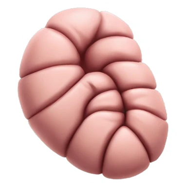 “A detailed image of a human stomach, showing its curved shape, inner folds, and a natural pinkish color.” sticker