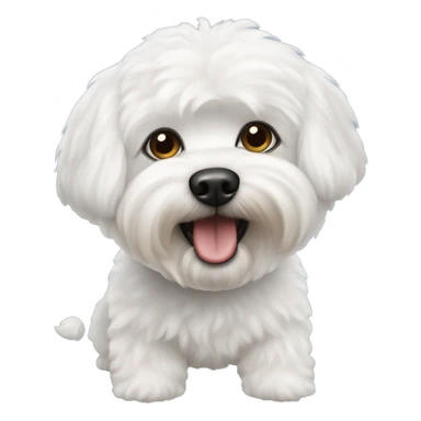 Bichon frise and yorkshire sticker