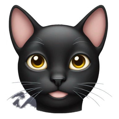 Black cat with white tummy sticker