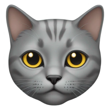 gray british cat sticker