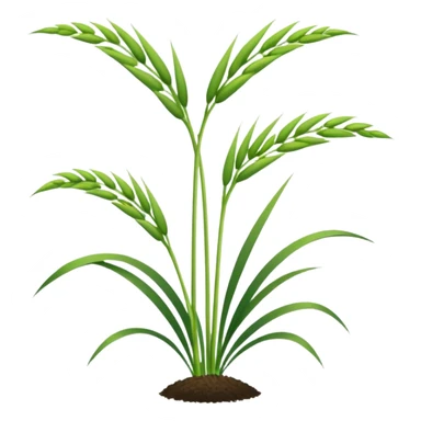 rice plant sticker