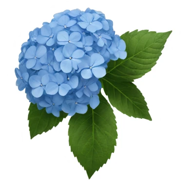 hydrangea blue sticker