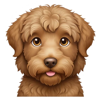 light brown labradoodle with hazel eyes  sticker