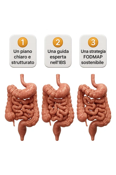 emoji stile iphone di 3 targhette numerate con intestino realistico davanti ad ogni targhetta, le targhette sono:
"1 – Un piano chiaro e strutturato
2 – Una guida esperta nell’IBS
3 – Una strategia FODMAP sostenibile"
, iperrealistico 4k sticker