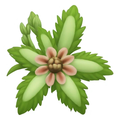flower similar to cannibas sticker