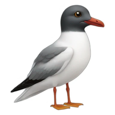 Mouette sticker