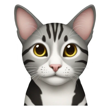 cat Xebra sticker