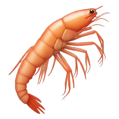 shrimp sticker