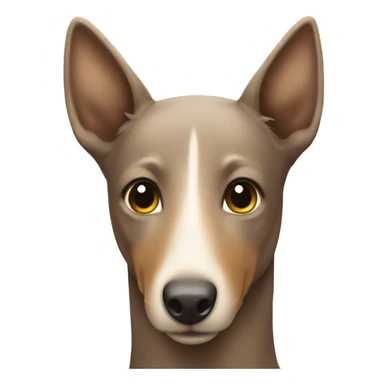 Kelpie sticker