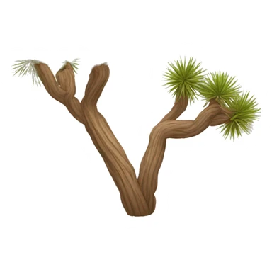 joshua tree sticker