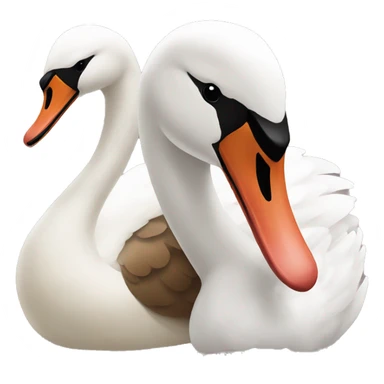 Brown swan and white swan sticker