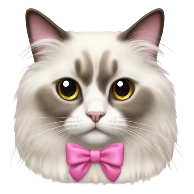 Ragdoll cat with a pink bow sticker