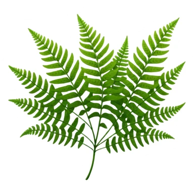 Fern sticker