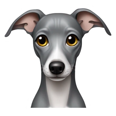 Grey Italian greyhound with bows sticker