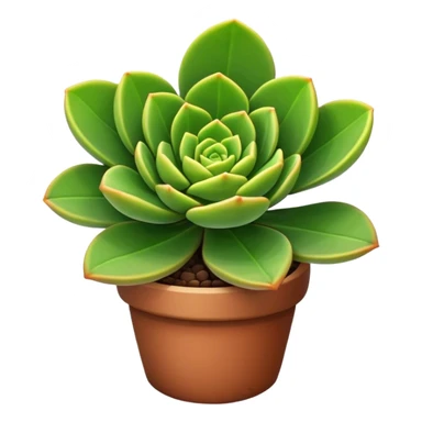 Crassula Ovata Golum sticker
