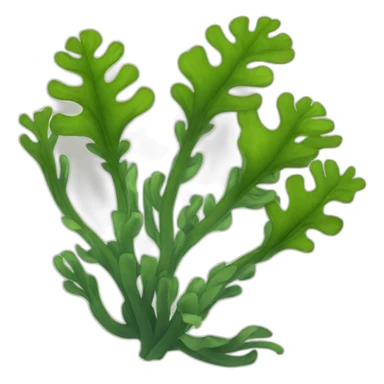 Kelp sticker