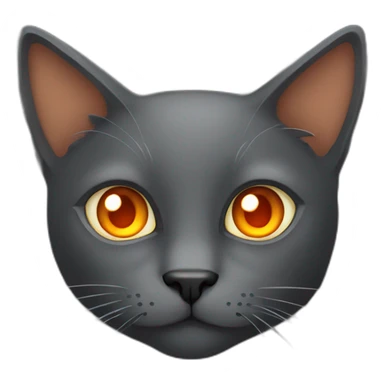 Dark grey cat with orange eyes sticker