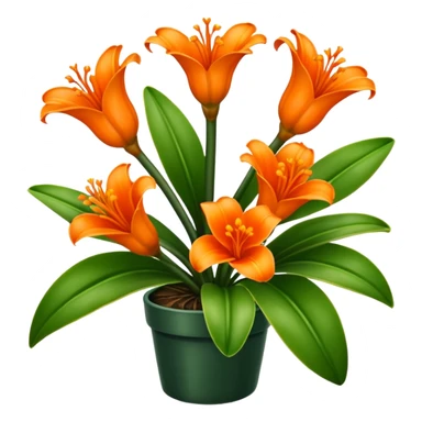 Clivia plant sticker