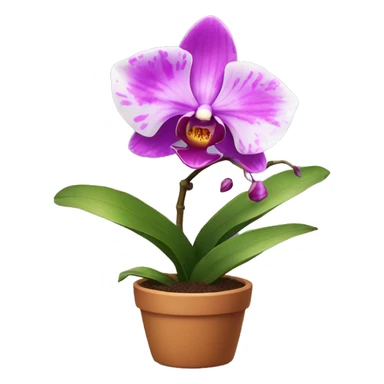 An orchid in a pot sticker