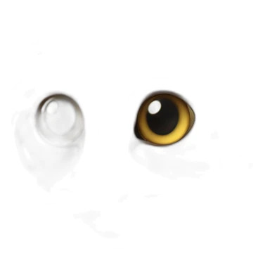 Chat tout mignon avec de gros yeux sticker