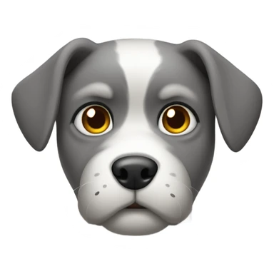 dog gazing at the viewer with grey fur sticker