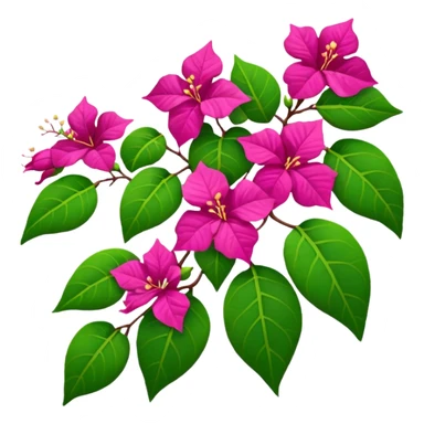 Bougainvillea sticker