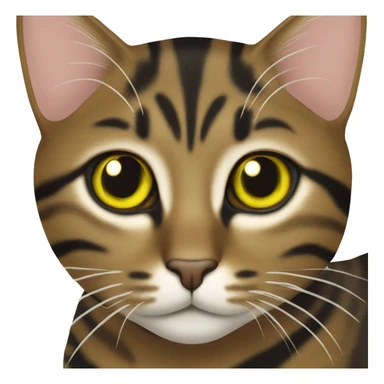 brown tabby cat with black stripes and yellow-green eyes sticker