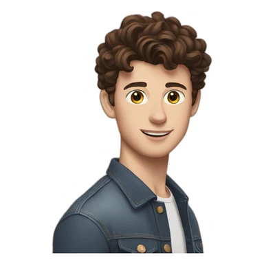 Shawn mendes sticker