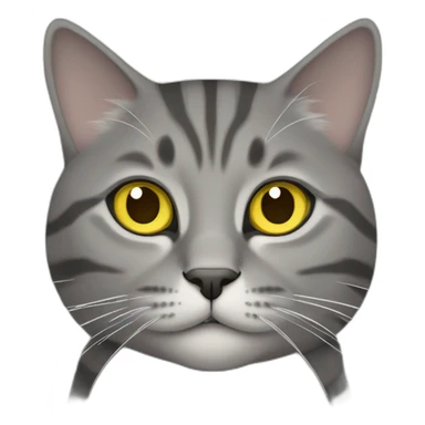 Grey tabby Scottish straight cat with yellow eyes sticker