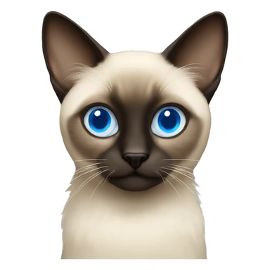 fluffy siamese with blue eyes sticker